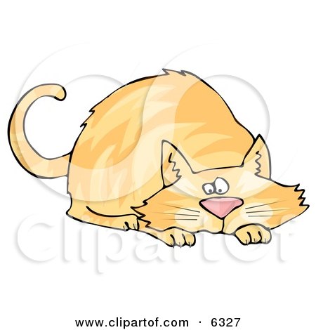 Orange Cat Crouching While Preparing to Pounce on Something Clipart Picture by djart
