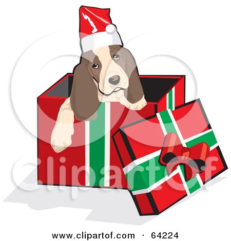 Royalty-Free (RF) Clipart Illustration of a Christmas Spaniel Puppy Emerging From A Gift Box by David Rey