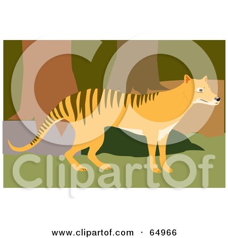 Royalty-Free (RF) Clipart Illustration of a Wandering Tasmanian Tiger In A Forest by Dennis Holmes Designs