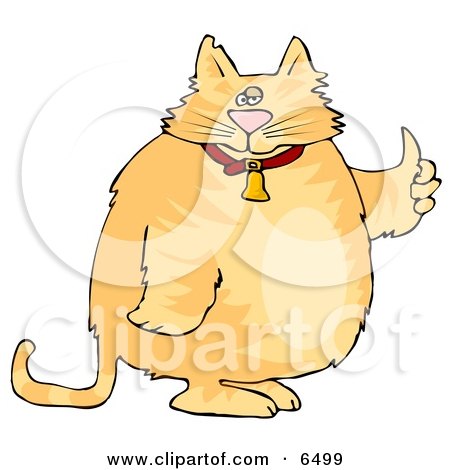 Chubby Orange Cat in a Bell Collar Giving the Thumbs Up Clipart by djart