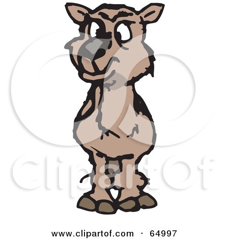 Royalty-Free (RF) Clipart Illustration of a Shaggy Wild Camel Facing Front by Dennis Holmes Designs