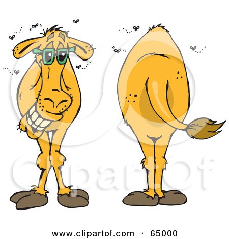 Royalty-Free (RF) Clipart Illustration of Front And Back Views Of A Stinky Camel by Dennis Holmes Designs