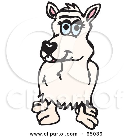 Royalty-Free (RF) Clipart Illustration of a White Alpaca Facing Front by Dennis Holmes Designs