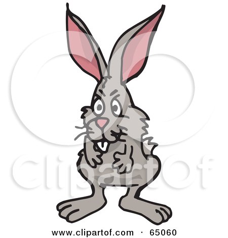 Royalty-Free (RF) Clipart Illustration of a Shaggy Wild Rabbit Facing Front by Dennis Holmes Designs