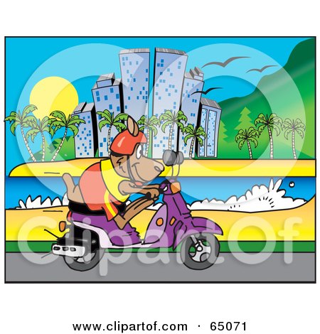 Royalty-Free (RF) Clipart Illustration of a Kangaroo Riding A Scooter Along A Coastal City by Dennis Holmes Designs