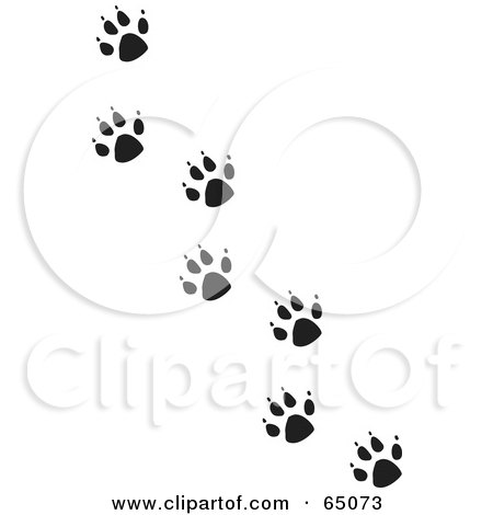 Royalty-Free (RF) Clipart Illustration of a Trail Of Black And White Paw Prints by Dennis Holmes Designs