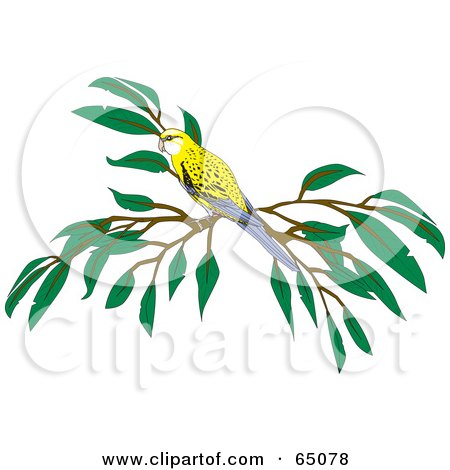 Royalty-Free (RF) Clipart Illustration of a Pale Headed Rosella Bird On A Branch by Dennis Holmes Designs