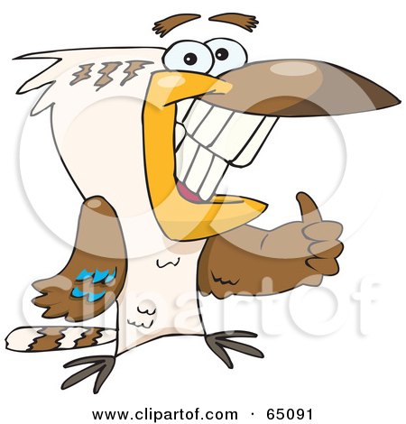 Royalty-Free (RF) Clipart Illustration of a Kookaburra Bird Giving The Thumbs Up by Dennis Holmes Designs