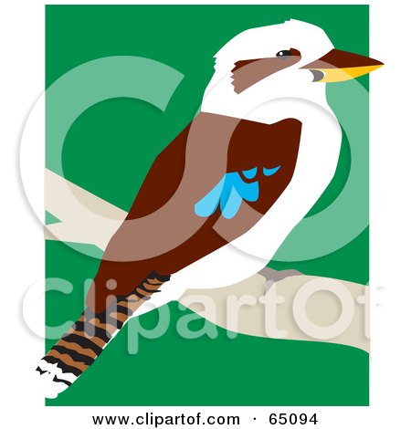 Royalty-Free (RF) Clipart Illustration of a Kookaburra Bird Perched On A Branch by Dennis Holmes Designs