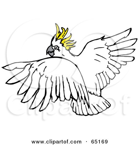 Royalty-Free (RF) Clipart Illustration of a Flying Sulphur Crested Cockatoo Looking Back by Dennis Holmes Designs