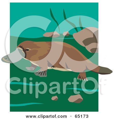 Royalty-Free (RF) Clipart Illustration of a Wild Brown Platypus by Dennis Holmes Designs