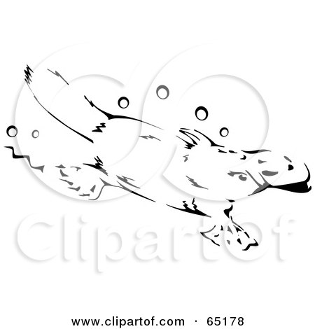 Royalty-Free (RF) Clipart Illustration of a Black And White Diving Platypus by Dennis Holmes Designs