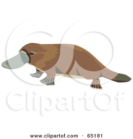 Royalty-Free (RF) Clipart Illustration of a Waddling Wild Brown Platypus by Dennis Holmes Designs