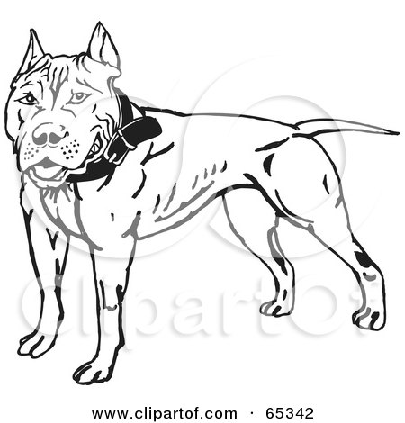 Royalty-Free (RF) Clipart Illustration of a Friendly Black And White Pit Bull Terrier by Dennis Holmes Designs