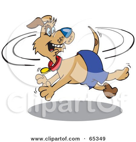 Royalty-Free (RF) Clipart Illustration of a Patch Dog Chasing His Own Tail by Dennis Holmes Designs