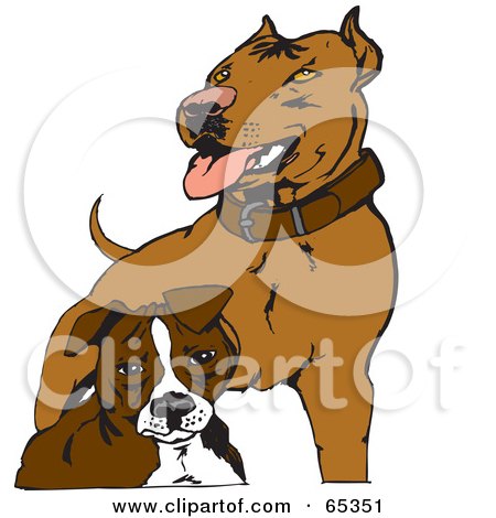 Royalty-Free (RF) Clipart Illustration of Two Brown Pit Bull Terriers by Dennis Holmes Designs