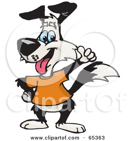 Royalty-Free (RF) Clipart Illustration of a Black And White Dog Wearing An Orange Shirt And Giving The Thumbs Up by Dennis Holmes Designs