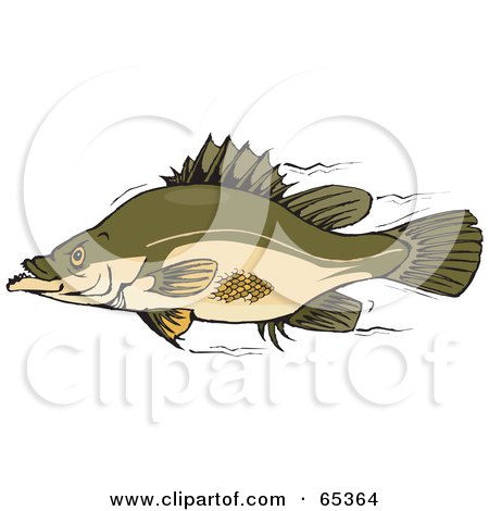 Royalty-Free (RF) Clipart Illustration of a Profiled Yellow Belly Fish by Dennis Holmes Designs
