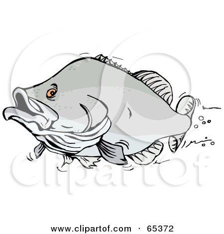 Royalty-Free (RF) Clipart Illustration of a Fast Swimming Bass Fish by Dennis Holmes Designs