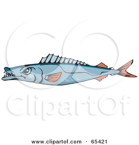Royalty-Free (RF) Clipart Illustration of a Blue Gemfish With Sharp Teeth by Dennis Holmes Designs