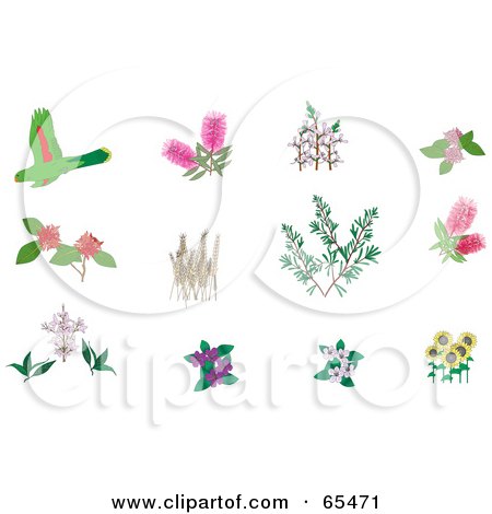 Royalty-Free (RF) Clipart Illustration of a Digital Collage Of Plants And Birds by Dennis Holmes Designs