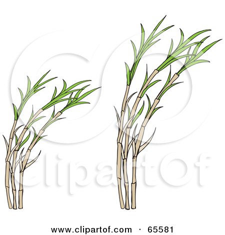 Royalty-Free (RF) Clipart Illustration of Growing Cane Plants by Dennis Holmes Designs