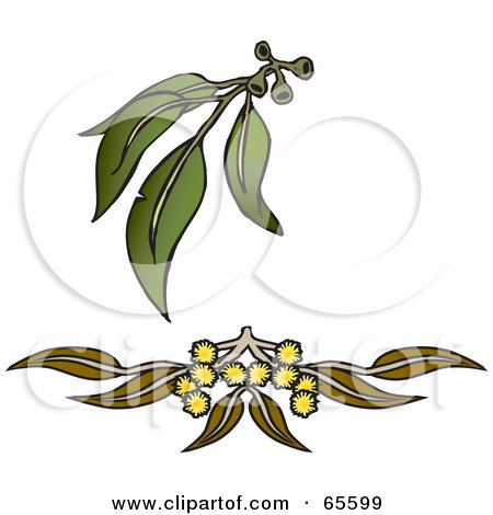 Royalty-Free (RF) Clipart Illustration of Leaves And Flowers Of Gum Wattle by Dennis Holmes Designs