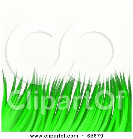 Royalty-Free (RF) Clipart Illustration of a Background Of Green Grassy Blades Over White by Prawny