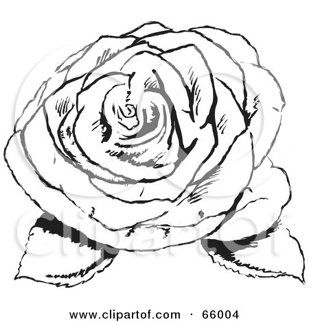 Royalty-Free (RF) Clipart Illustration of a Black And White Fully Bloomed Rose With Leaves by Prawny