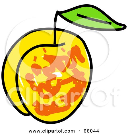 Royalty-Free (RF) Clipart Illustration of a Sketched Apricot by Prawny