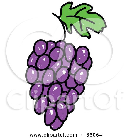Royalty-Free (RF) Clipart Illustration of a Sketched Purple Grapes by Prawny