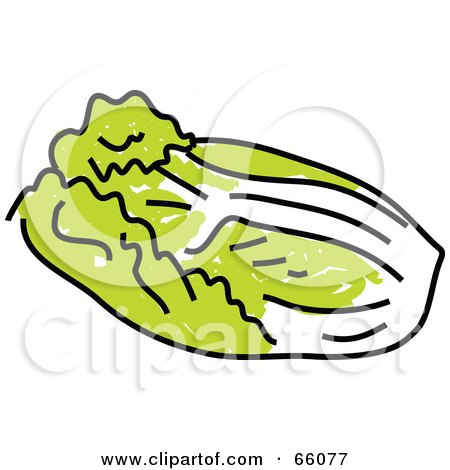 Royalty-Free (RF) Clipart Illustration of a Head Of Chinese Cabbage by Prawny