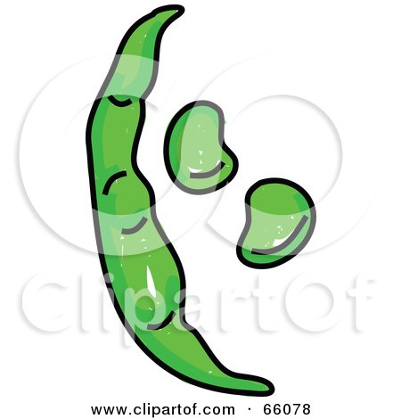 Royalty-Free (RF) Clipart Illustration of Green Broad Beans by Prawny