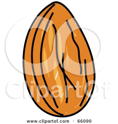 Royalty-Free (RF) Clipart Illustration of a Raw Single Almond by Prawny