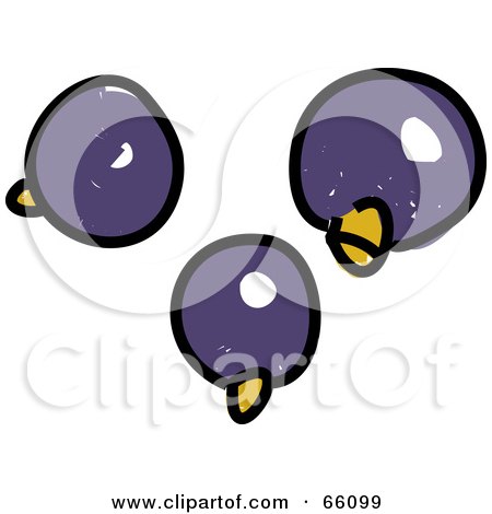 Royalty-Free (RF) Clipart Illustration of Three Sketched Black Currants by Prawny