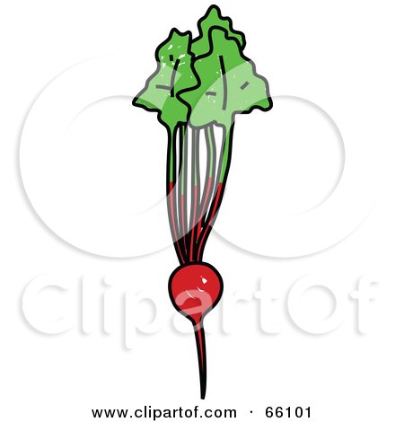 Royalty-Free (RF) Clipart Illustration of a Red Beet Root by Prawny