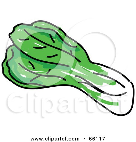 Royalty-Free (RF) Clipart Illustration of a Head Of Snow Cabbage by Prawny