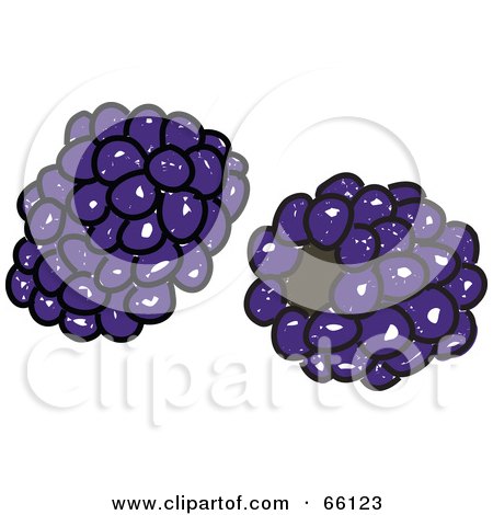 Royalty-Free (RF) Clipart Illustration of Two Sketched Blackberries by Prawny
