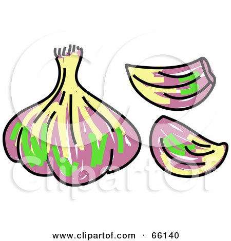 Royalty-Free (RF) Clipart Illustration of a Sketched Garlic Bulb by Prawny