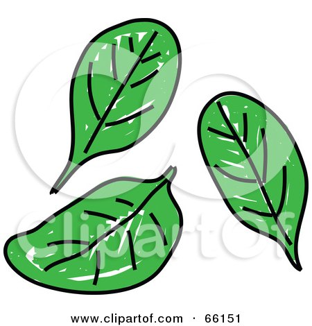 Royalty-Free (RF) Clipart Illustration of Three Spinach Leaves by Prawny