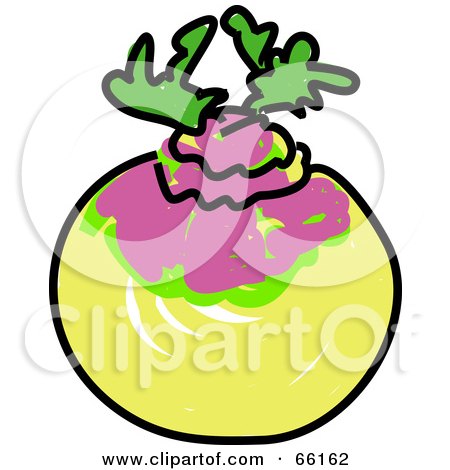 Royalty-Free (RF) Clipart Illustration of a Sketched Turnip by Prawny