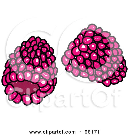 Royalty-Free (RF) Clipart Illustration of Sketched Raspberries by Prawny