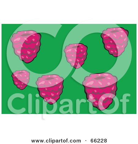 Royalty-Free (RF) Clipart Illustration of Raspberries On Green by Prawny