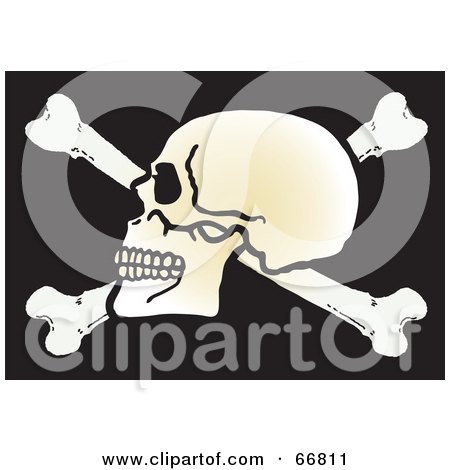 Royalty-Free (RF) Clipart Illustration of a Human Skull On Top Of Crossbones On Black by Snowy