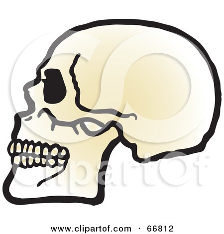 Royalty-Free (RF) Clipart Illustration of a Profiled Human Skull With Teeth by Snowy