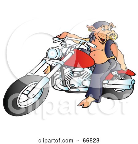 Royalty-Free (RF) Clipart Illustration of a Hog With A Piercing, Riding A Red Motorcycle by Snowy