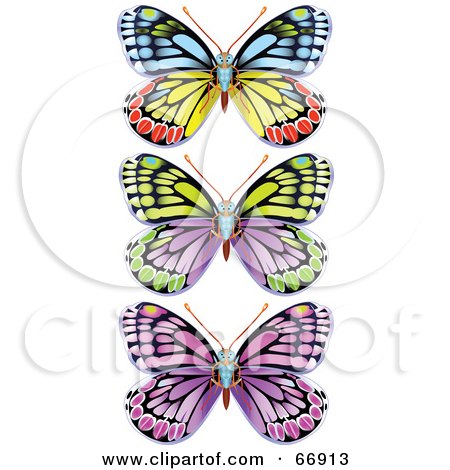 Royalty-Free (RF) Clipart Illustration of a Digital Collage Of Three Colorful Butterfly Bugs by Pushkin