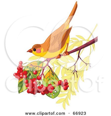 Royalty-Free (RF) Clipart Illustration of an Autumn Bird Perched On A Branch With Berries by Pushkin