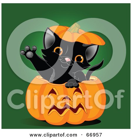 Cute Black Kitten Reaching Its Paw Out Of A Halloween Pumpkin Posters, Art Prints