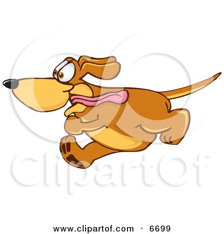 Brown Dog Mascot Cartoon Character Running Obsessively After Something Clipart Picture by Toons4Biz